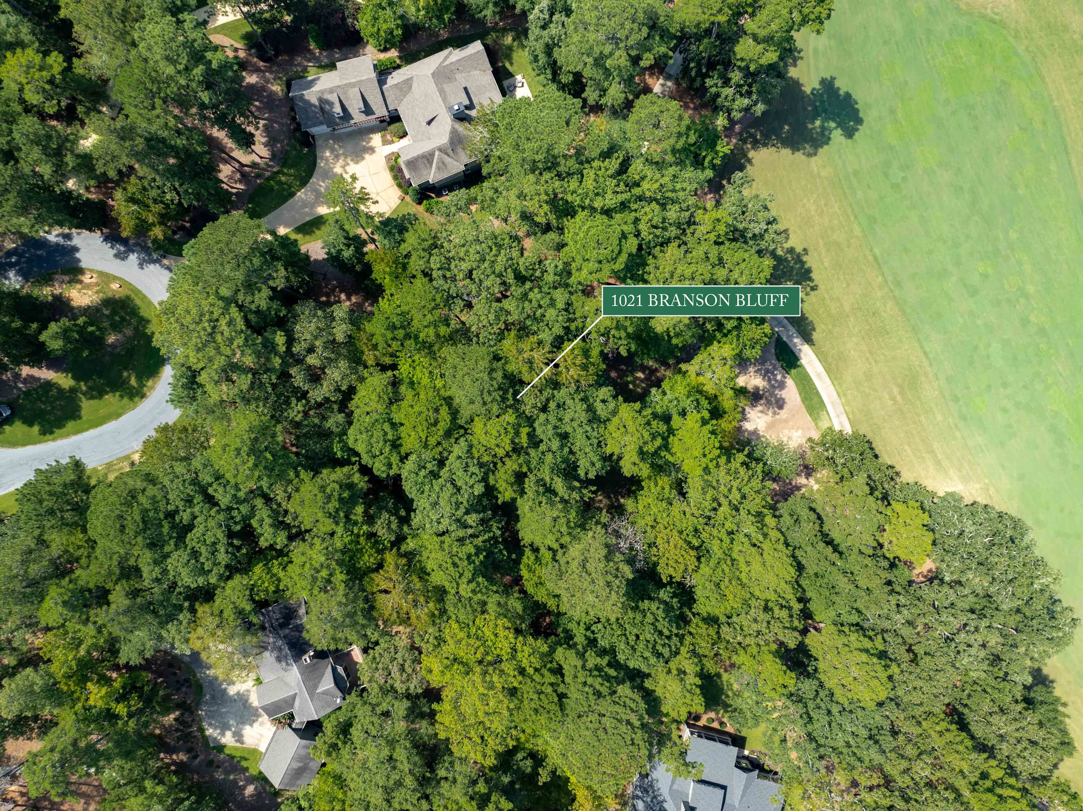 1021 Branson Bluff image 14